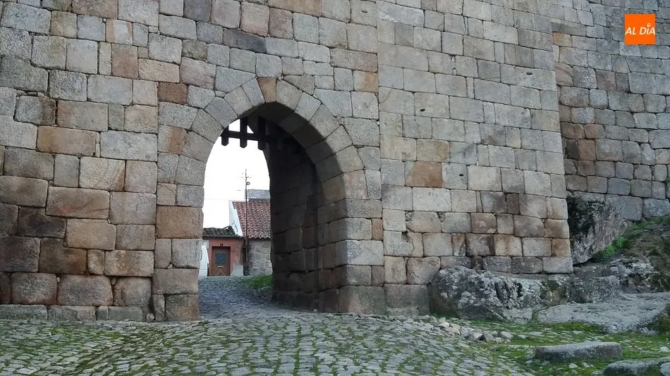 Foto 5 - El mayor Madero de Portugal arde en Penamacor  