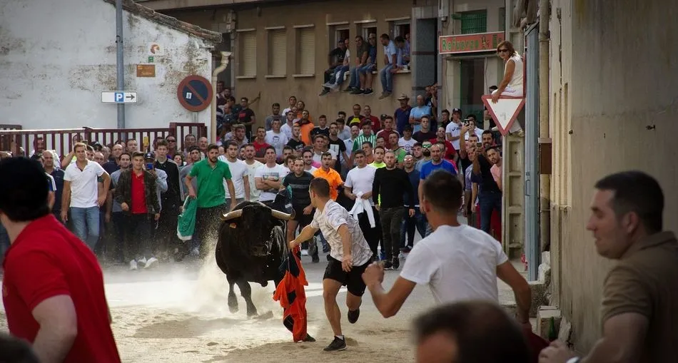 Los festejos populares, uno de los puntos más fuertes de la asociación. FOTOS: JULIO HERNÁNDEZ VILLARON