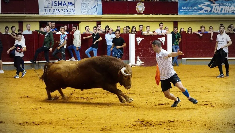 Foto 2 - Asociaci&oacute;n Taurina 15 de Octubre, cinco a&ntilde;os defendiendo la tauromaquia