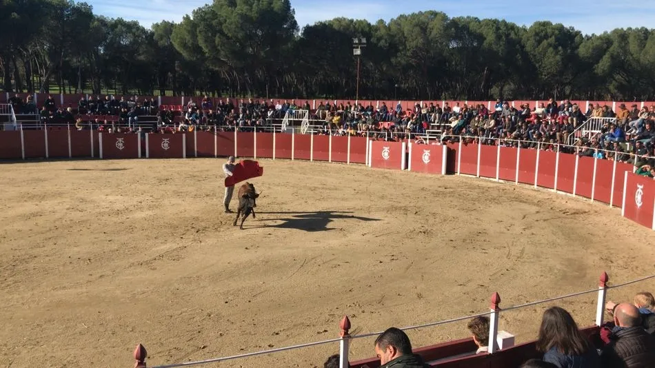Confirmada la celebración de una tienta del Bolsín en la emblemática Venta del Batán de Madrid  