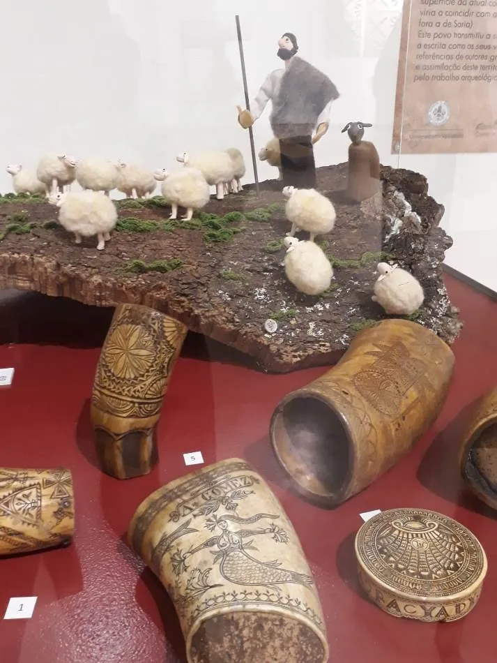Foto 2 - Jos&eacute; Ram&oacute;n Cid aporta fondos de su propiedad a una exposici&oacute;n en el Museo de Foz C&ocirc;a  