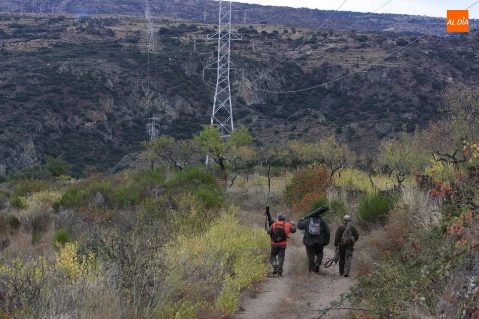 La nueva ley crea la figura del Coto y Cazador Colaborador / CORRAL