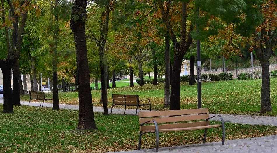 Un estudio revela que vivir cerca de espacios verdes reduce el riesgo de obesidad en mujeres