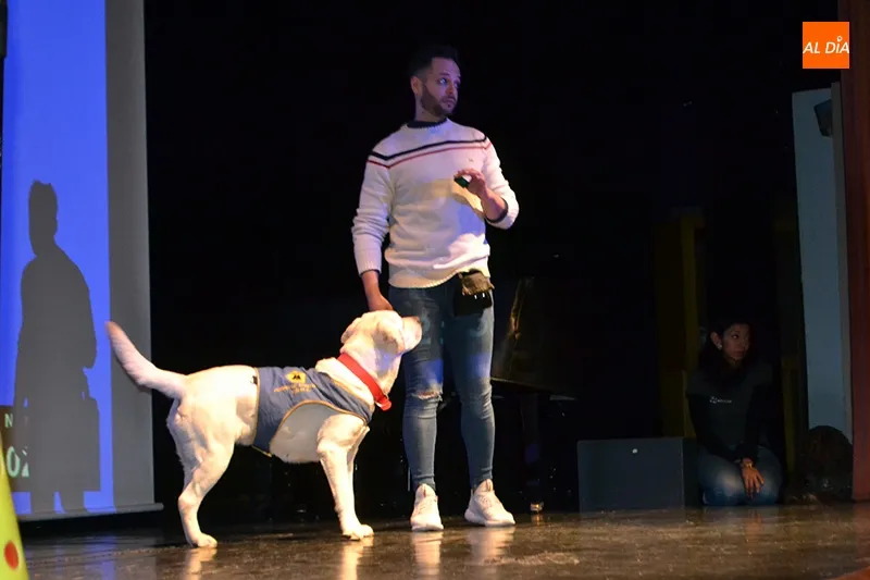 Foto 3 - La Fundaci&oacute;n Bocalan acerca a grandes y peque&ntilde;os su sorprendente labor junto a los perros de...