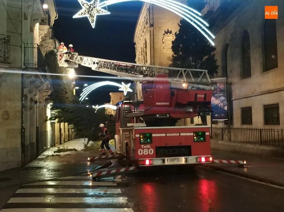 El árbol caído en San Pablo / Lydia González