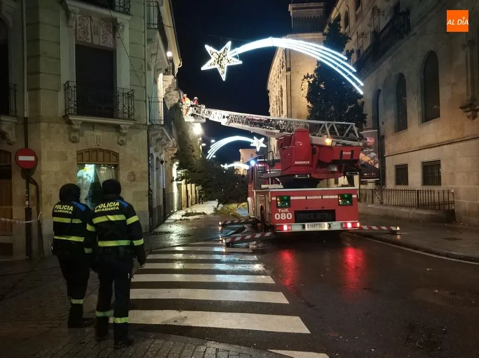 Foto 2 - La ca&iacute;da de un &aacute;rbol provoca el corte de la calle San Pablo&nbsp;