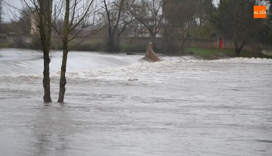 El Águeda multiplica por 100 en apenas tres días el caudal que ha traído durante todo el otoño