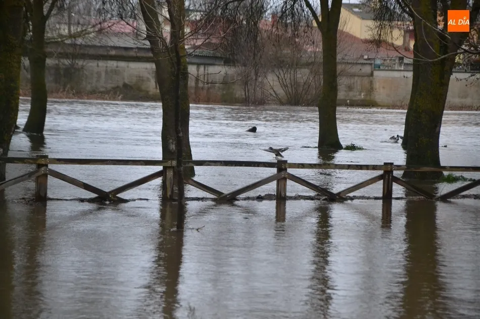 Foto 5 - El &Aacute;gueda multiplica por 100 en apenas tres d&iacute;as el caudal que ha tra&iacute;do durante todo el oto&ntilde;o
