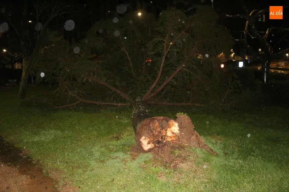 Foto 6 - El temporal causa desperfectos leves en el mobiliario urbano de Guijuelo
