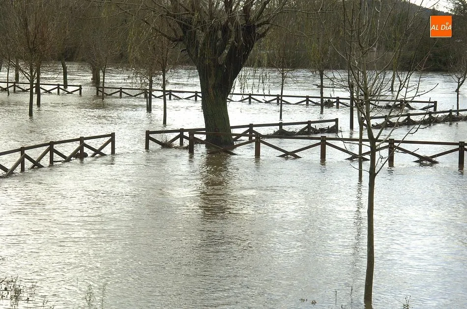 Foto 3 - Lenta pero progresiva bajada caudal del &Aacute;gueda, que mantiene la situaci&oacute;n de alerta  