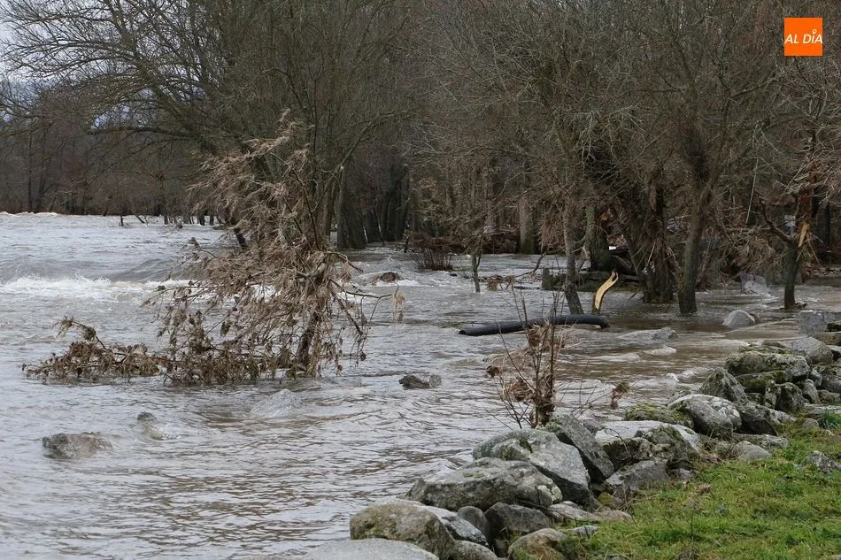 Foto 4 - La fuerte crecida del r&iacute;o Tormes inunda una docena de casas en Puente del Congosto