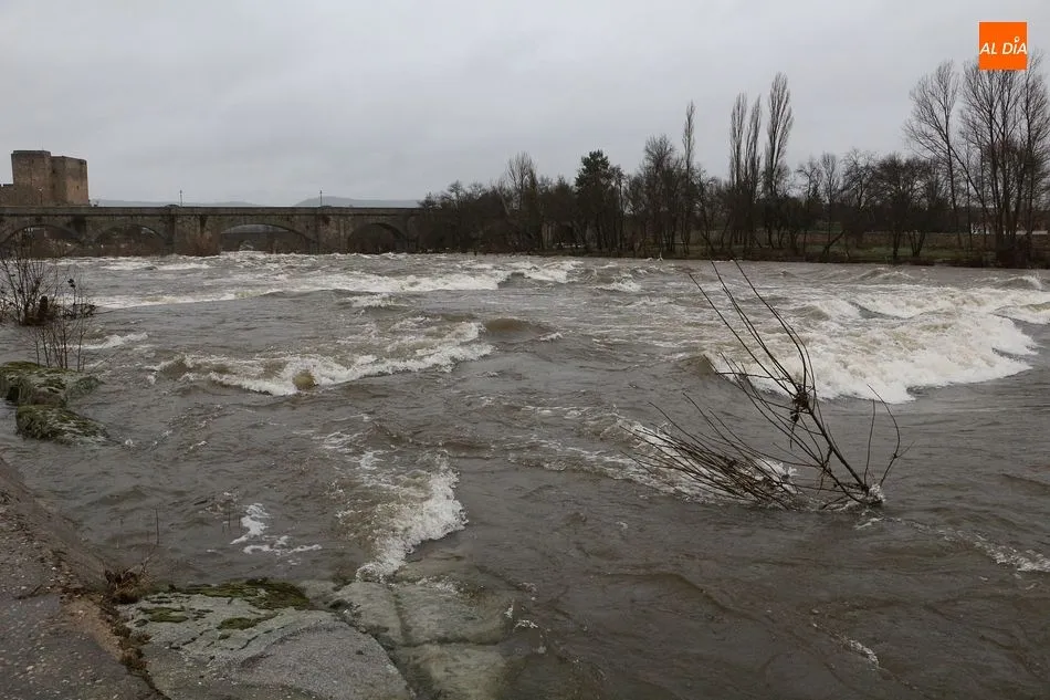 Foto 3 - La fuerte crecida del r&iacute;o Tormes inunda una docena de casas en Puente del Congosto