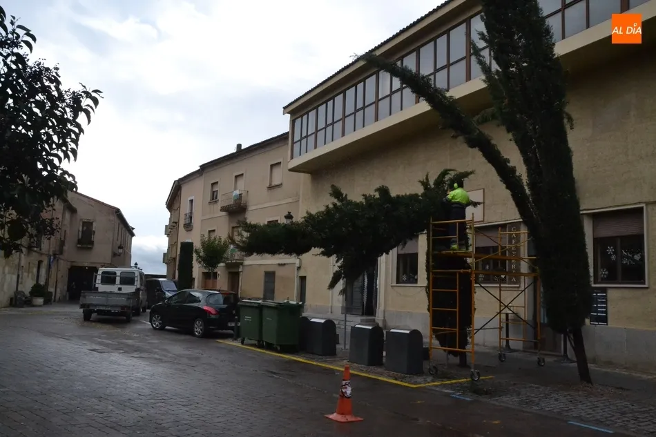 Una poda de urgencia en la calle Velayos o goteras en el salón de plenos, entre los efectos del...