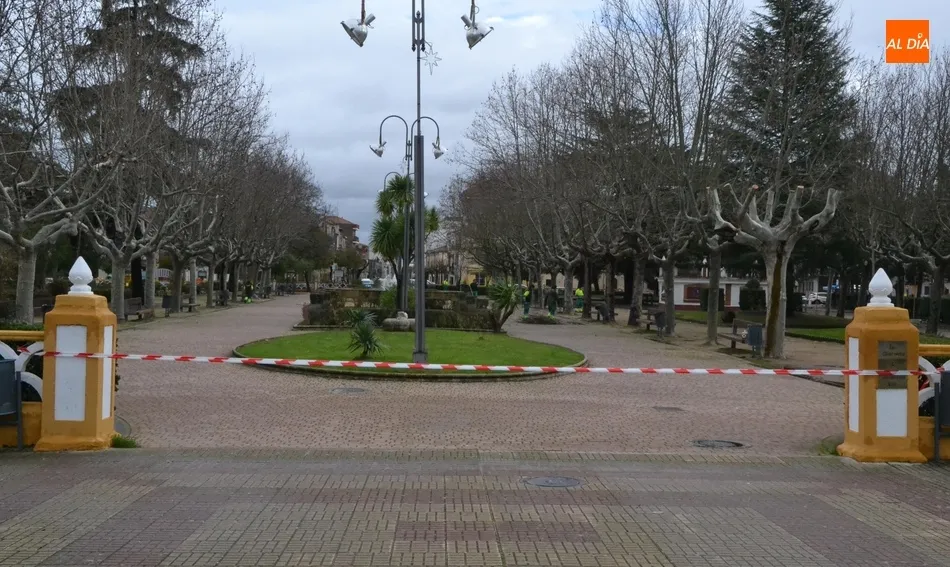 Foto 4 - Una poda de urgencia en la calle Velayos o goteras en el sal&oacute;n de plenos, entre los efectos del...