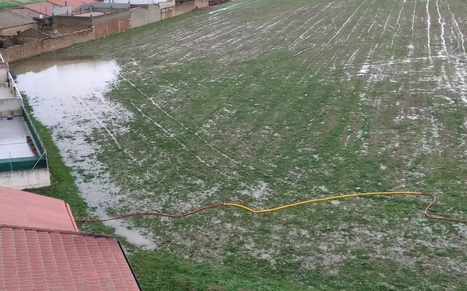 Foto 6 - Una poda de urgencia en la calle Velayos o goteras en el sal&oacute;n de plenos, entre los efectos del...