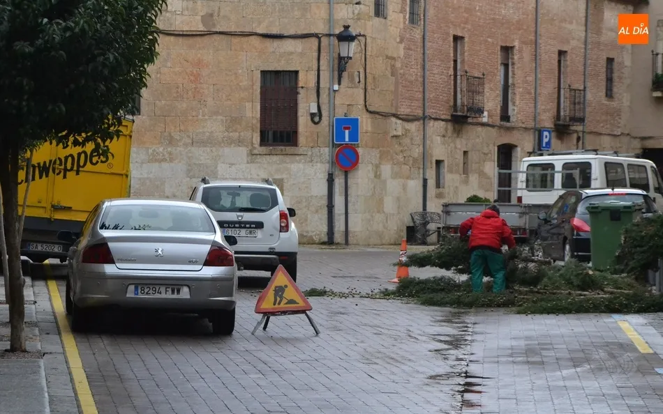 Foto 7 - Una poda de urgencia en la calle Velayos o goteras en el sal&oacute;n de plenos, entre los efectos del...