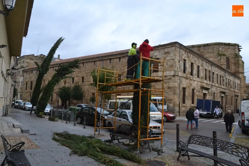 Foto 11 - Una poda de urgencia en la calle Velayos o goteras en el sal&oacute;n de plenos, entre los efectos del...