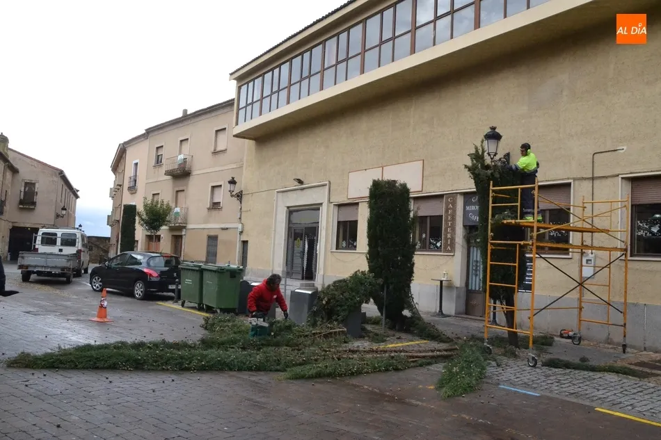 Foto 9 - Una poda de urgencia en la calle Velayos o goteras en el sal&oacute;n de plenos, entre los efectos del...