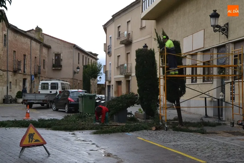 Foto 8 - Una poda de urgencia en la calle Velayos o goteras en el sal&oacute;n de plenos, entre los efectos del...