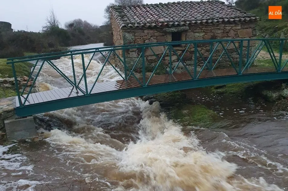 Foto 8 - Espectaculares im&aacute;genes de los r&iacute;os y riveras en las Arribes tras las lluvias de Elsa y...