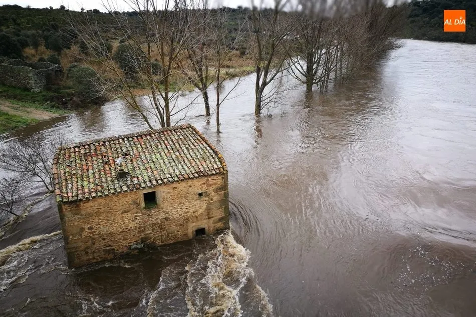Foto 5 - Espectaculares im&aacute;genes de los r&iacute;os y riveras en las Arribes tras las lluvias de Elsa y...