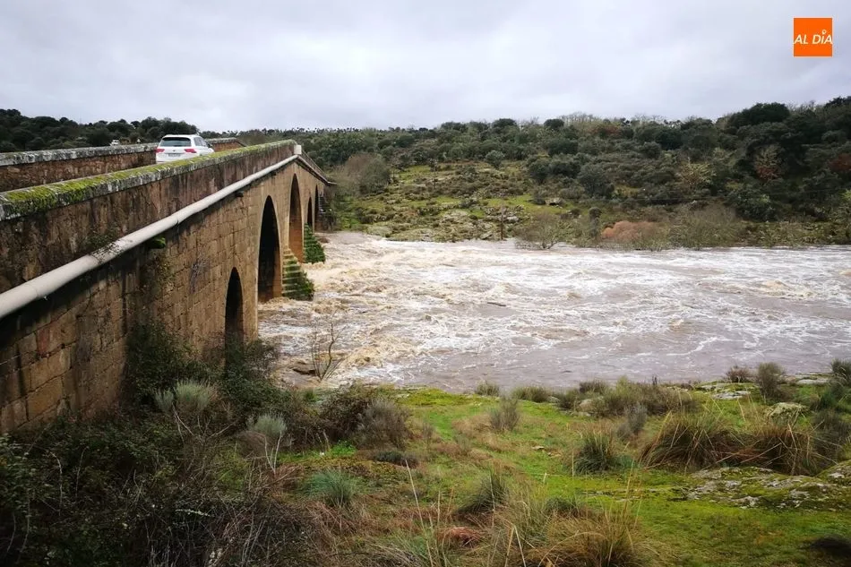 Foto 4 - Espectaculares im&aacute;genes de los r&iacute;os y riveras en las Arribes tras las lluvias de Elsa y...