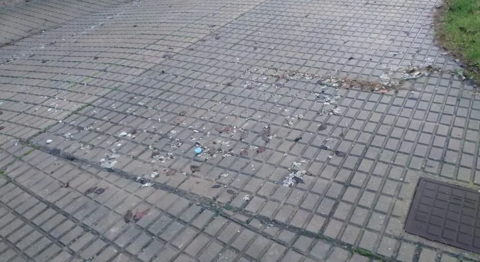 Estado de la Avenida del Regato Cachón