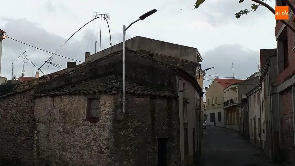 Foto 5 - La borrasca &lsquo;Fabi&aacute;n&rsquo; provoca el derribo de un &aacute;rbol en la Residencia Santa Rita de Lumbrales