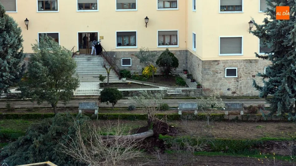 Foto 4 - La borrasca &lsquo;Fabi&aacute;n&rsquo; provoca el derribo de un &aacute;rbol en la Residencia Santa Rita de Lumbrales