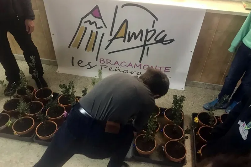 La campaña Adopta un árbol se ha puesto en marcha entre los alumnos del IES Peñaranda