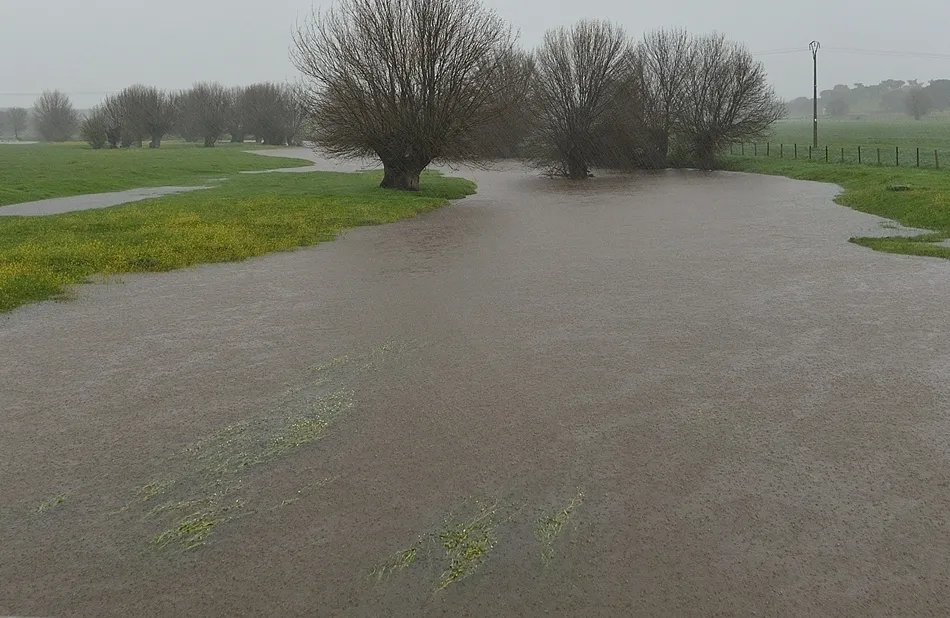 Huebra desencadenado