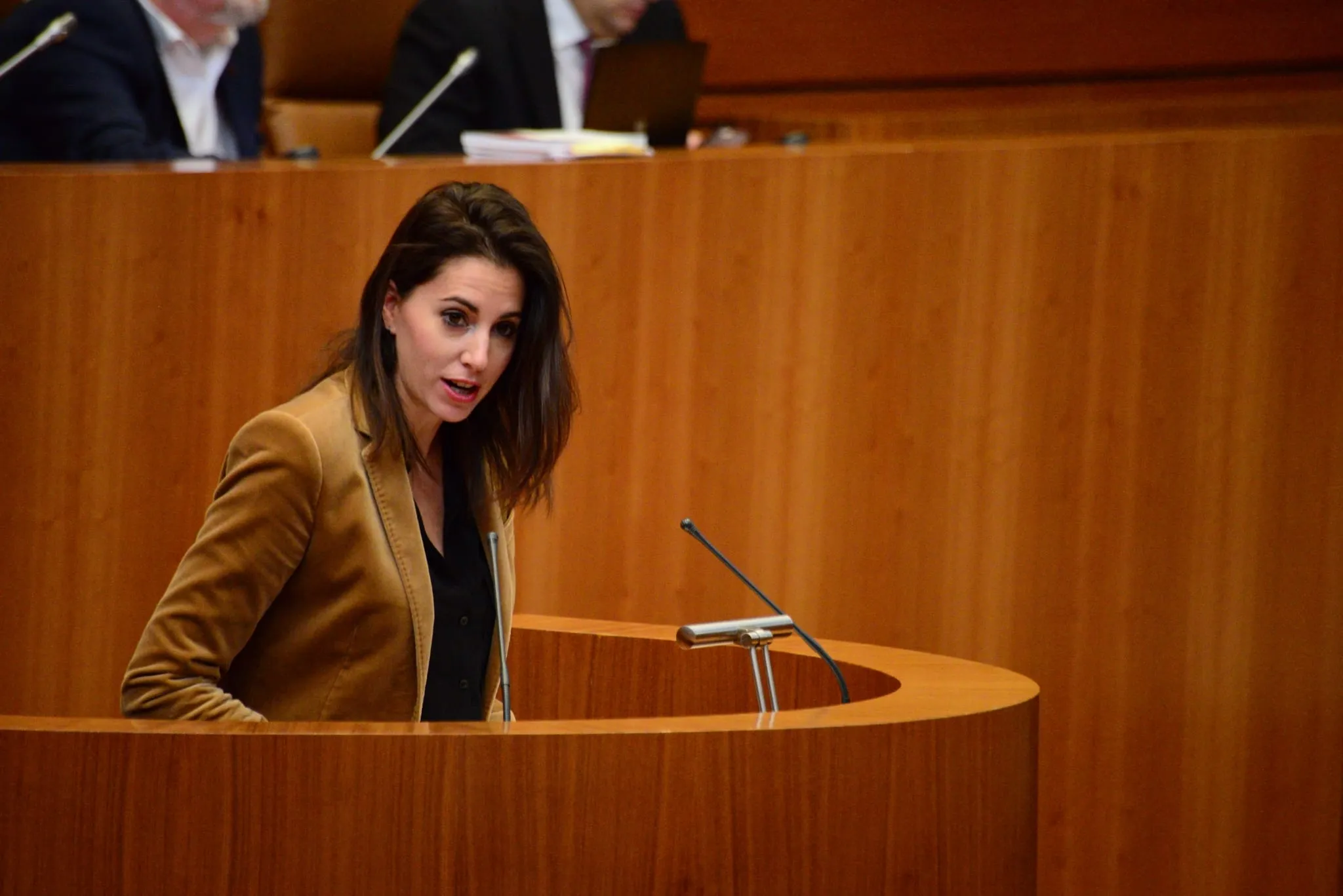 María Montero en el pleno celebrado en las Cortes de Castilla y León
