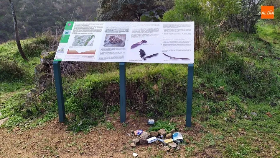 Foto 3 - El temporal provoca derrumbes de piedras y &aacute;rboles en la v&iacute;a del Camino de Hierro