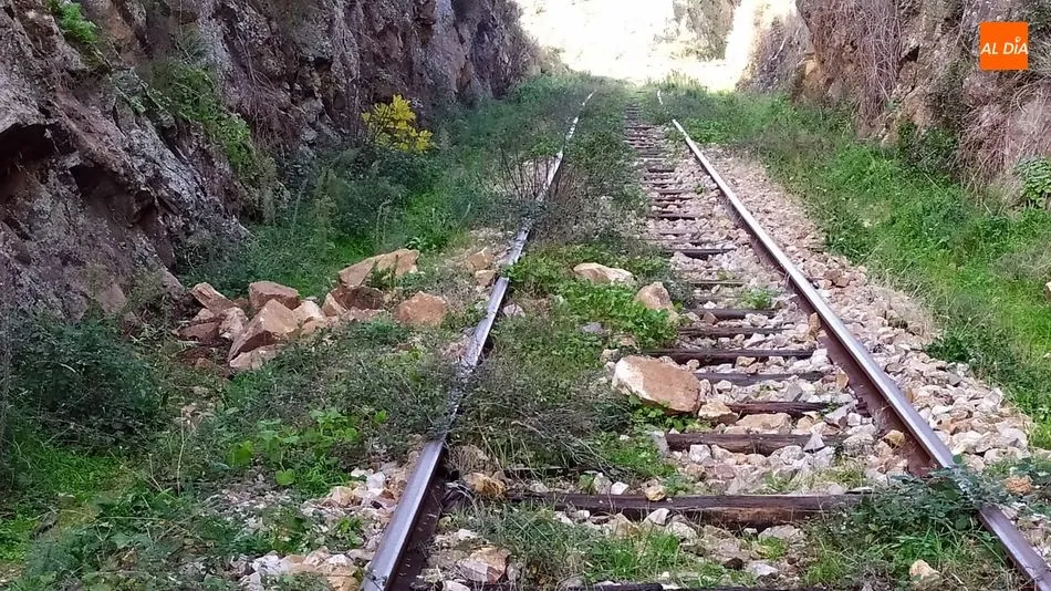 Foto 10 - El temporal provoca derrumbes de piedras y &aacute;rboles en la v&iacute;a del Camino de Hierro