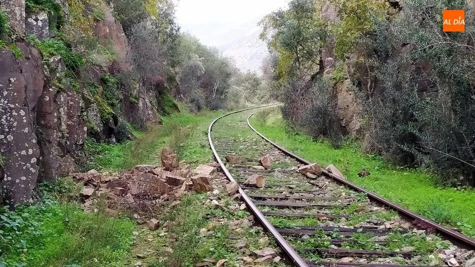 Foto 9 - El temporal provoca derrumbes de piedras y &aacute;rboles en la v&iacute;a del Camino de Hierro