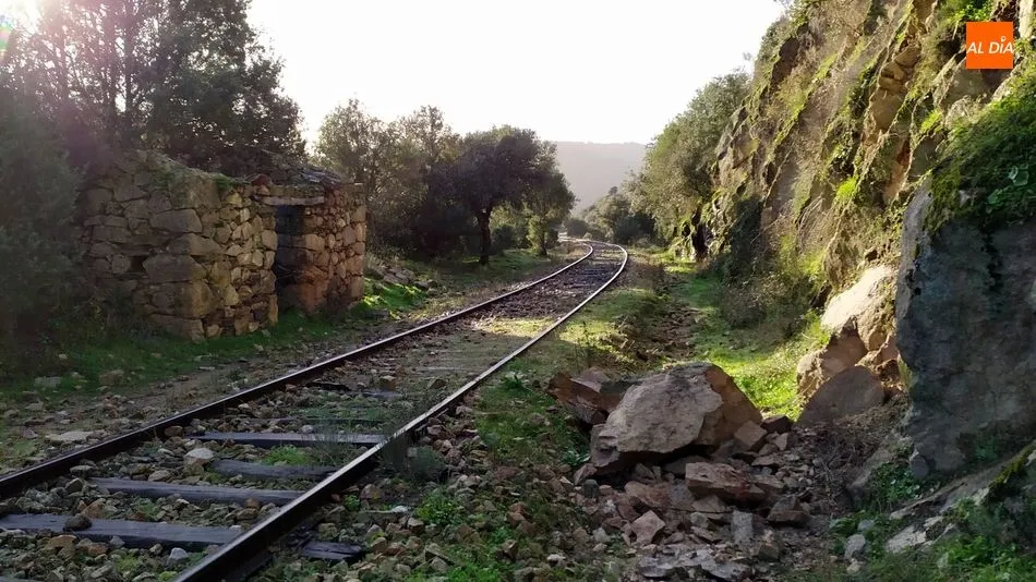 Foto 6 - El temporal provoca derrumbes de piedras y &aacute;rboles en la v&iacute;a del Camino de Hierro