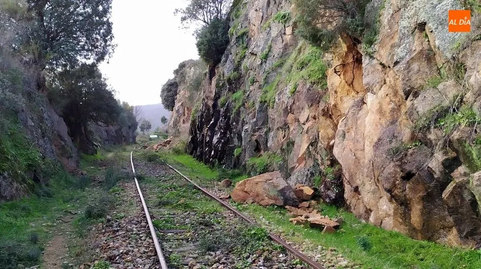Foto 5 - El temporal provoca derrumbes de piedras y &aacute;rboles en la v&iacute;a del Camino de Hierro