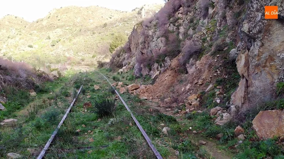 Foto 4 - El temporal provoca derrumbes de piedras y &aacute;rboles en la v&iacute;a del Camino de Hierro