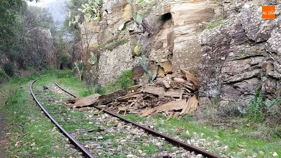 Foto 11 - El temporal provoca derrumbes de piedras y &aacute;rboles en la v&iacute;a del Camino de Hierro
