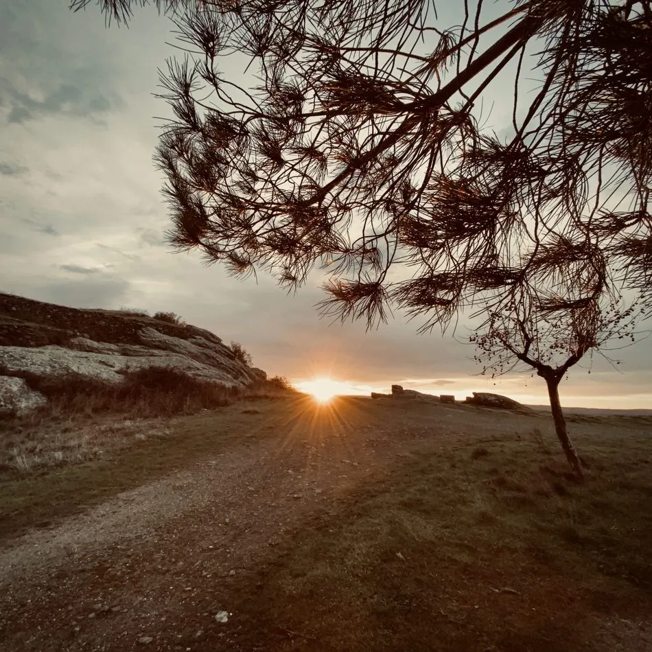 Foto 3 - Amanecer en Vilvestre