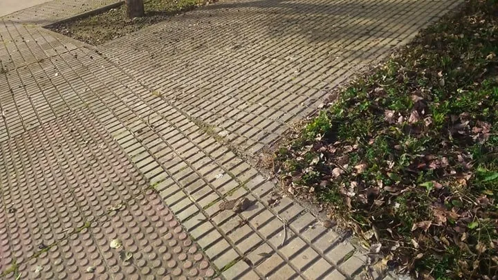 Foto 3 - Los vecinos del Regato Cach&oacute;n siguen esperando la limpieza de los restos de la crecida  