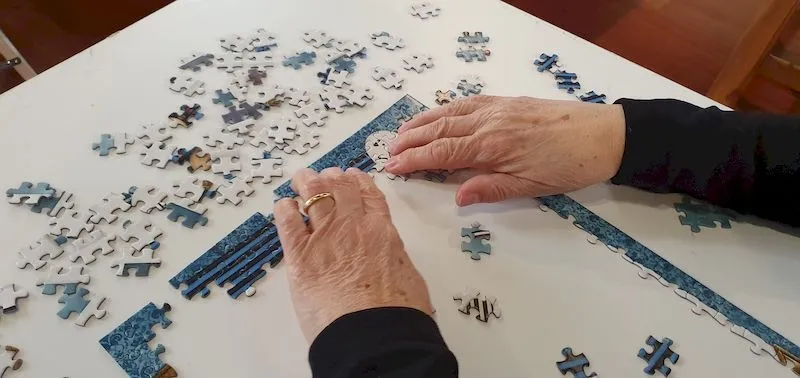 Foto 9 - Finaliza el Concurso Nacional de Puzzles batiendo todos los r&eacute;cords de participaci&oacute;n