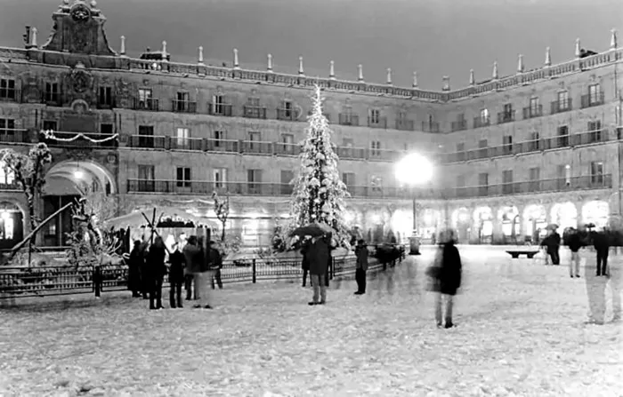 La tradición del árbol de Navidad
