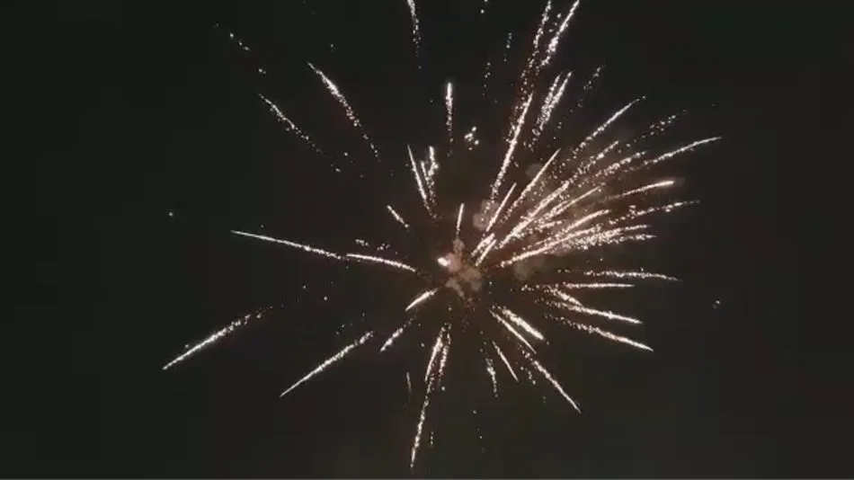 Iruelos da la bienvenida al 2020 con fuegos artificiales