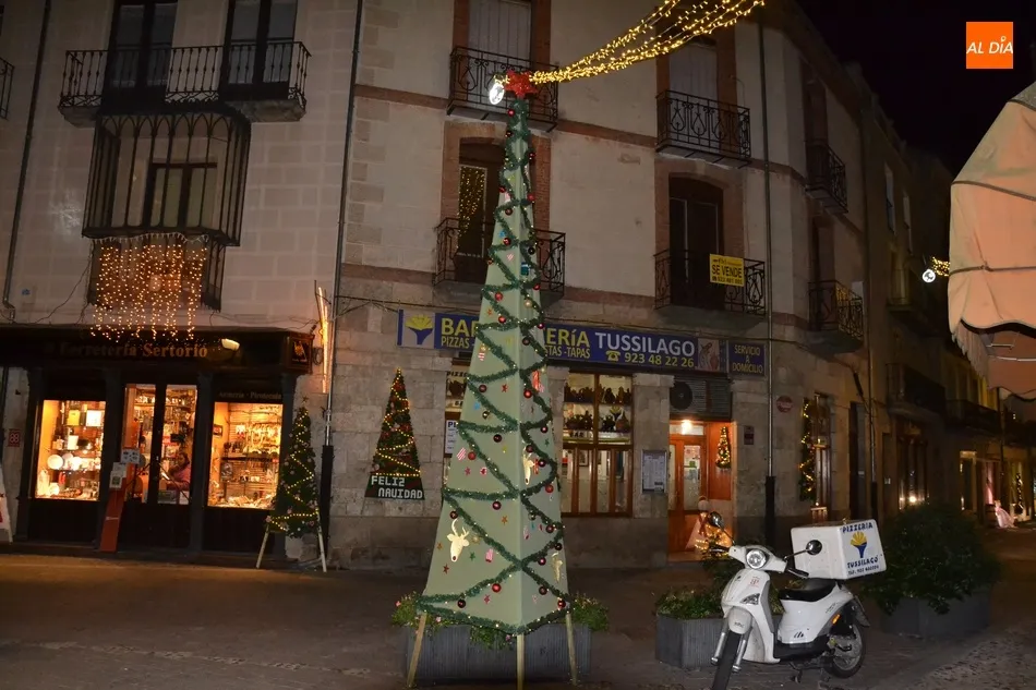Foto 5 - Campo de Toledo y Sierra de Gata ganan el 4&ordm; Concurso de Decoraci&oacute;n de Calles  
