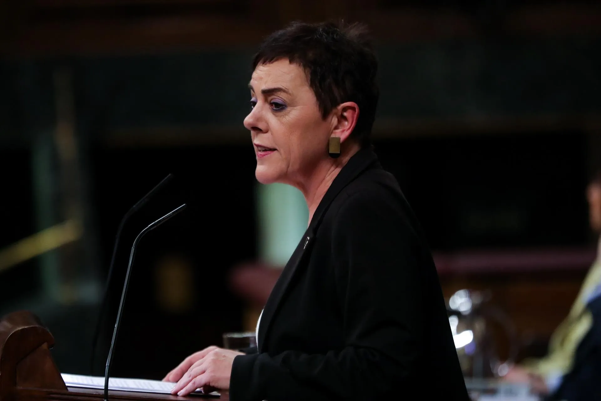La portavoz de EH Bildu en el Congreso de los Diputados, Mertxe Aizpurua, interviene desde la tribuna del Congreso de los Diputados