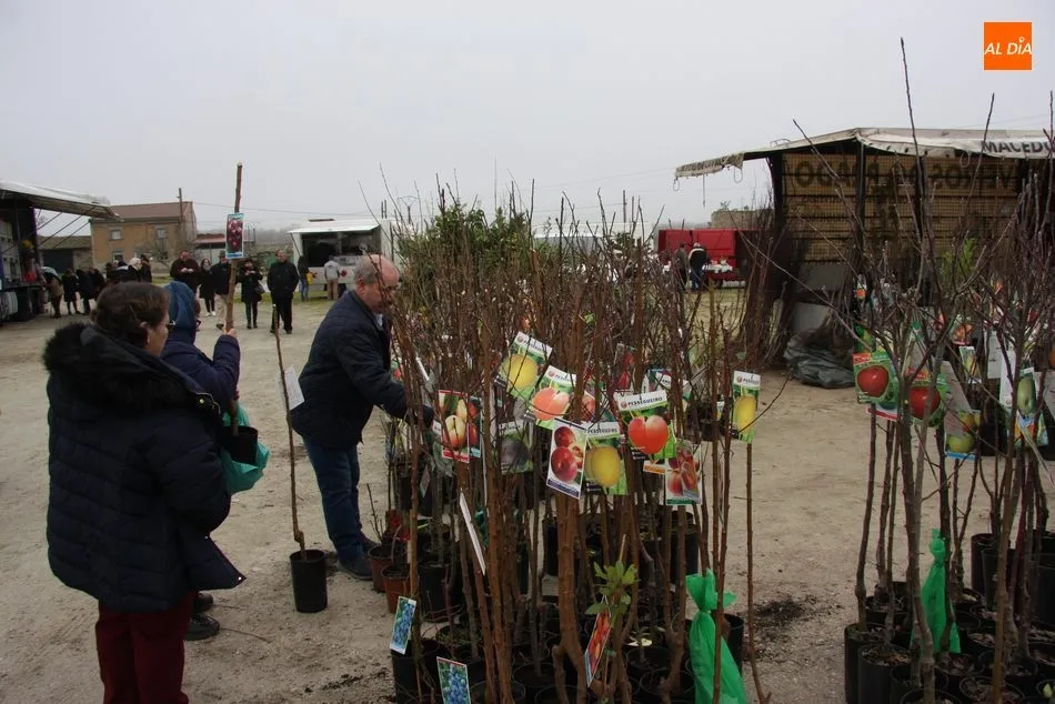 Foto 8 - El mercadillo de Trabanca arranca 2020 con una buena afluencia de p&uacute;blico y de comerciantes  
