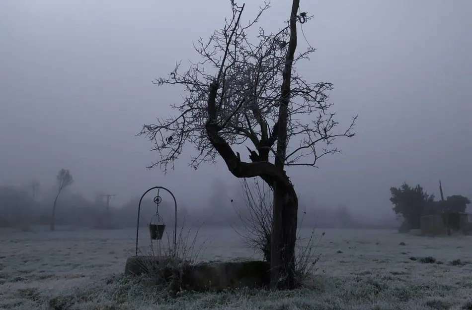 Foto 7 - Cuando la niebla y el fr&iacute;o se dan cita en Vitigudino&nbsp;
