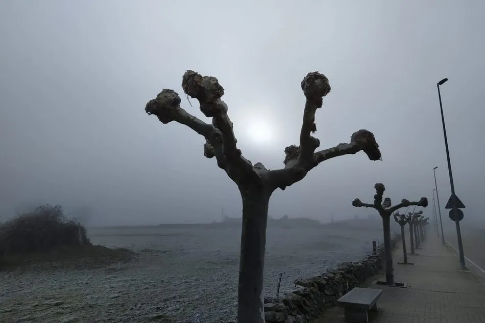 Foto 6 - Cuando la niebla y el fr&iacute;o se dan cita en Vitigudino&nbsp;