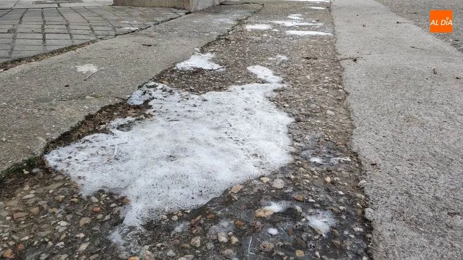Foto 3 - Las heladas en Salamanca se prolongar&aacute;n hasta el pr&oacute;ximo lunes